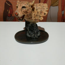 Load image into Gallery viewer, Collectable tiger head
