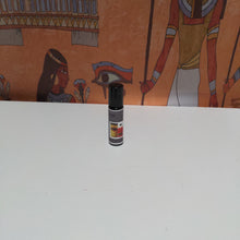 Load image into Gallery viewer, Kamasutra
