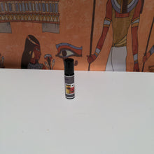 Load image into Gallery viewer, Kamasutra
