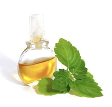 Load image into Gallery viewer, Jasmin oil 100ml also comes in 10 Ml roller
